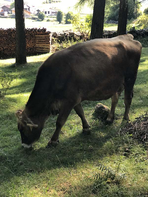 instarch 180826 3024 x 4032 39-bogenschiessen