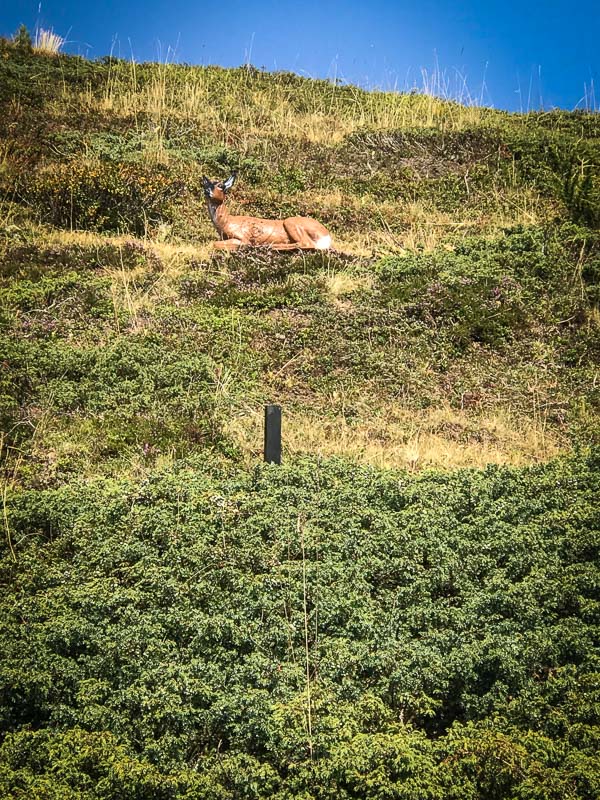 instarch 180828 3024 x 4032 11-bogenschiessen