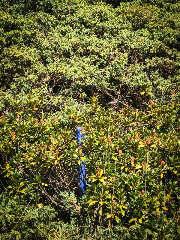 instarch 180828 3024 x 4032 13-bogenschiessen