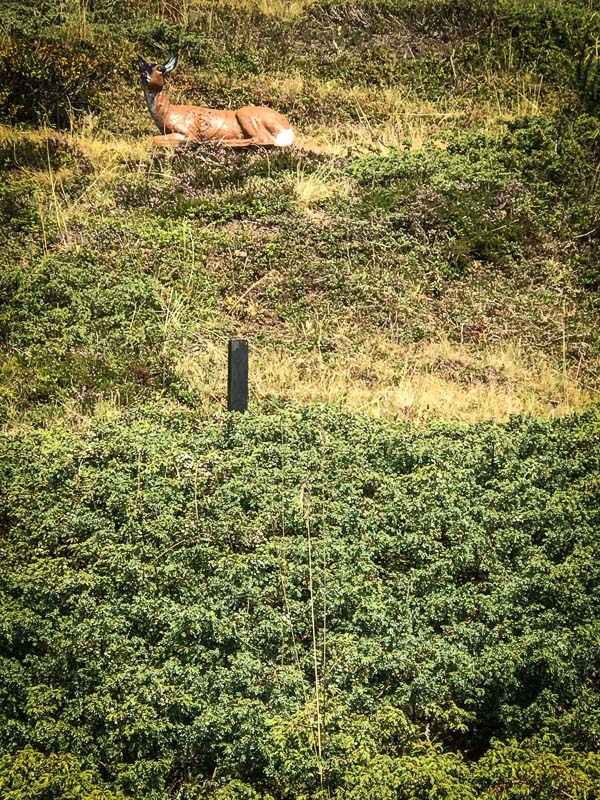 instarch 180828 3024 x 4032 14-bogenschiessen