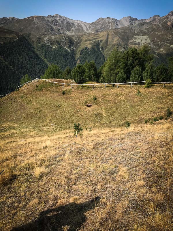 instarch 180828 3024 x 4032 23-bogenschiessen