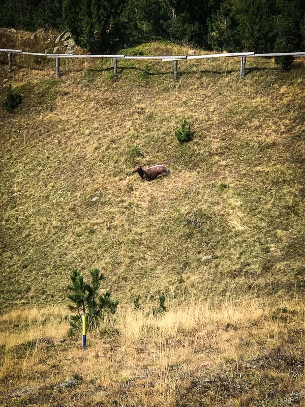 instarch 180828 3024 x 4032 24-bogenschiessen