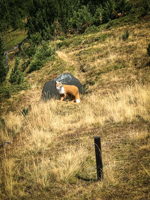 instarch 180828 3024 x 4032 26-bogenschiessen