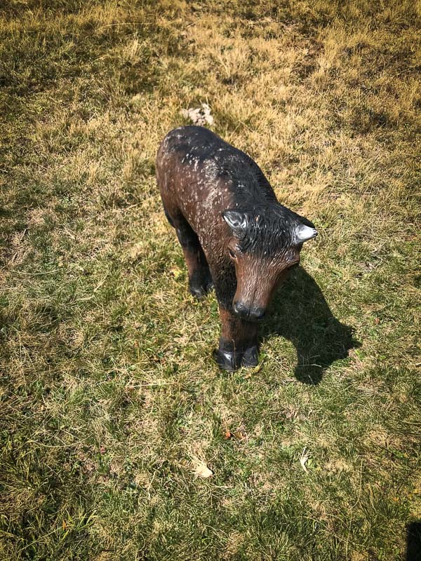 instarch 180828 3024 x 4032 29-bogenschiessen