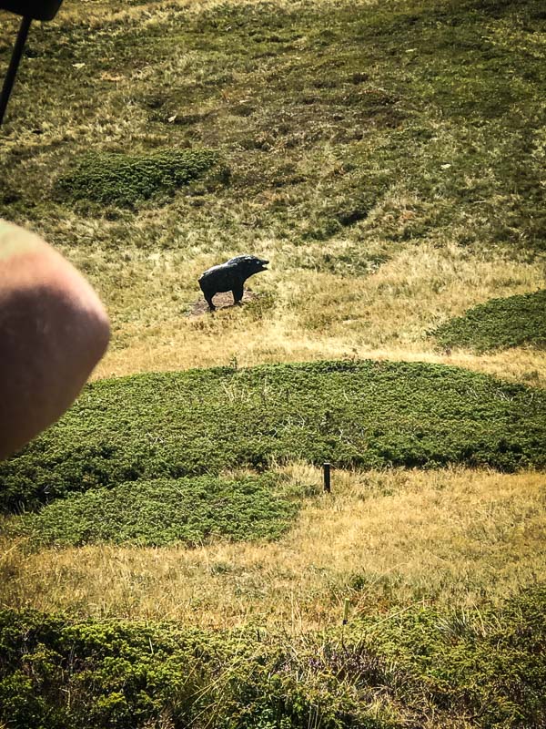 instarch 180828 3024 x 4032 36-bogenschiessen