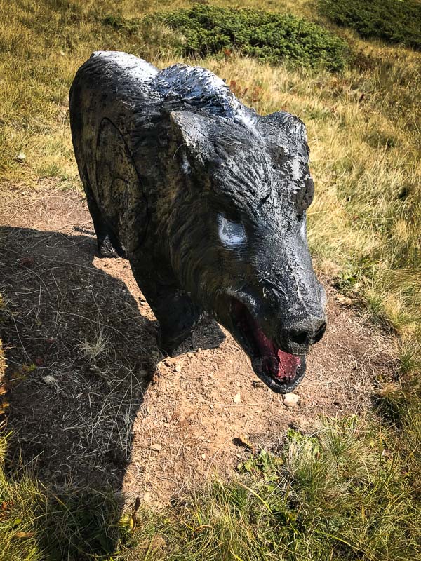 instarch 180828 3024 x 4032 37-bogenschiessen