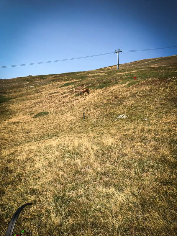 instarch 180828 3024 x 4032 38-bogenschiessen