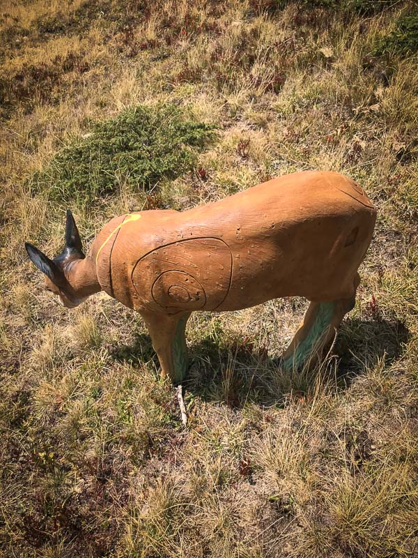 instarch 180828 3024 x 4032 39-bogenschiessen