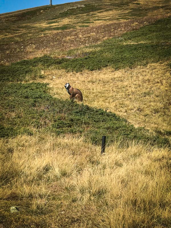 instarch 180828 3024 x 4032 40-bogenschiessen