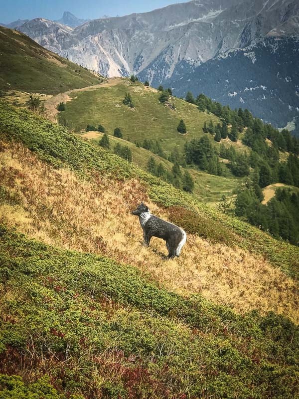 instarch 180828 3024 x 4032 45-bogenschiessen