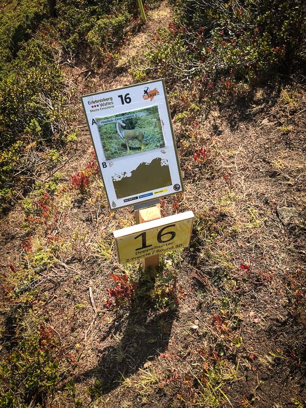 instarch 180828 3024 x 4032 46-bogenschiessen