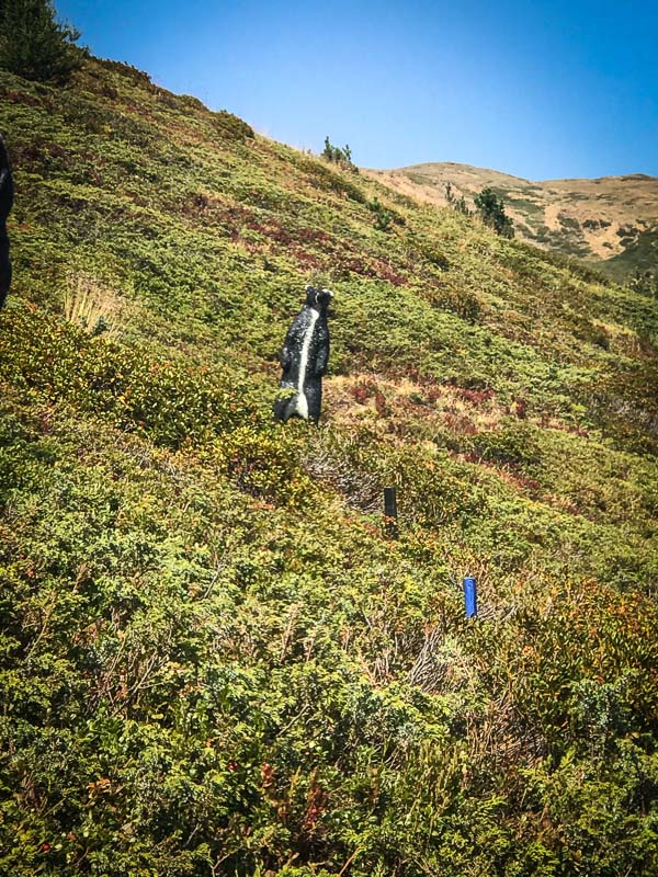 instarch 180828 3024 x 4032 49-bogenschiessen