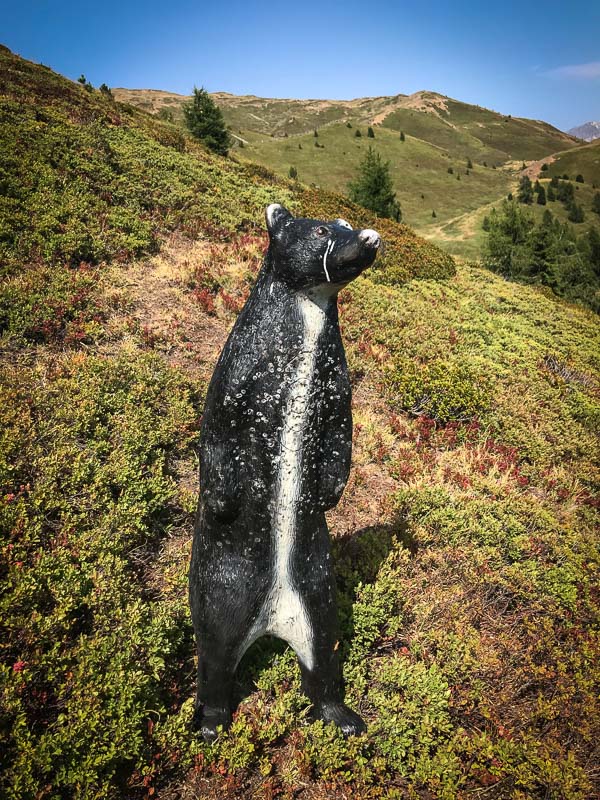 instarch 180828 3024 x 4032 50-bogenschiessen