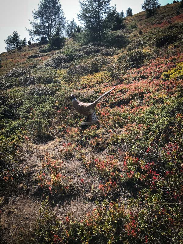 instarch 180828 3024 x 4032 51-bogenschiessen