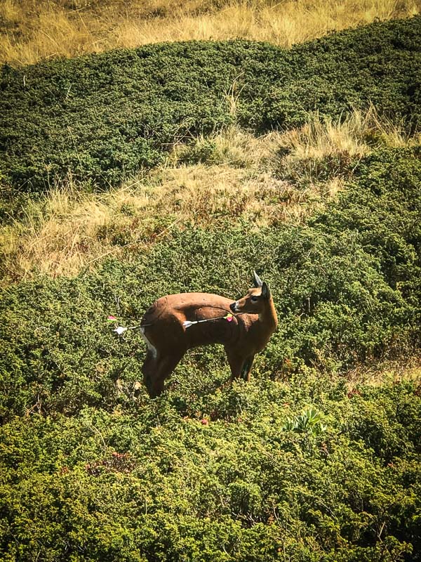 instarch 180828 3024 x 4032 54-bogenschiessen