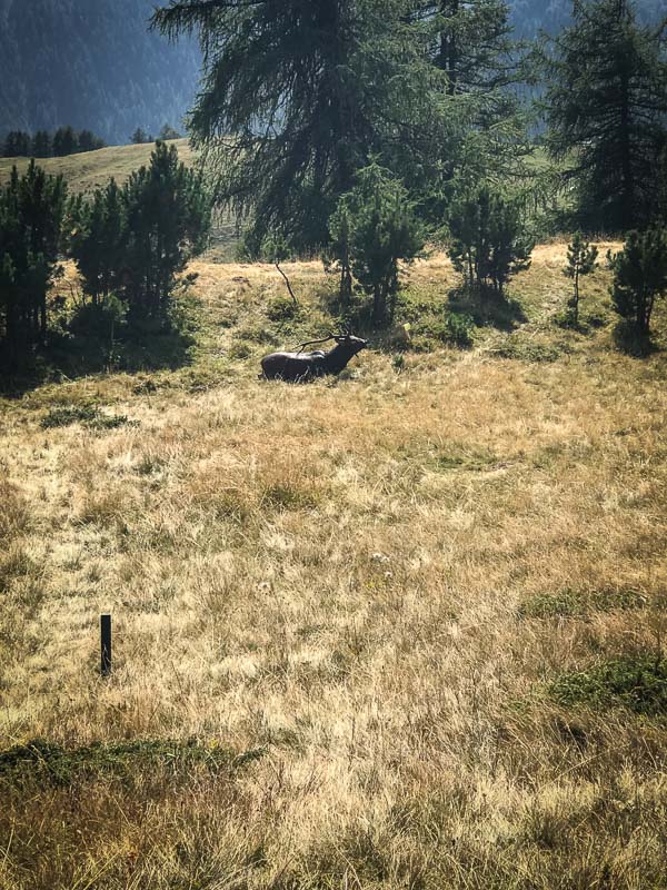 instarch 180828 3024 x 4032 56-bogenschiessen