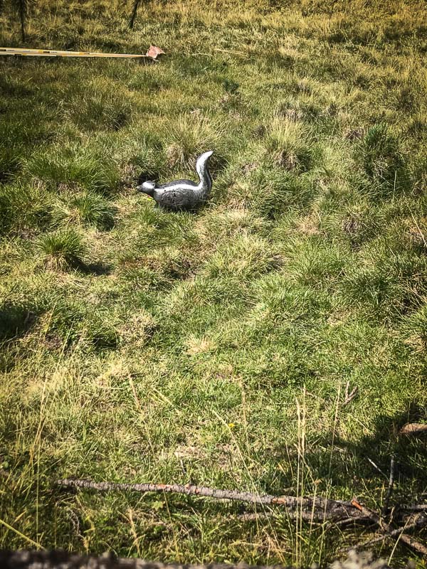 instarch 180828 3024 x 4032 57-bogenschiessen