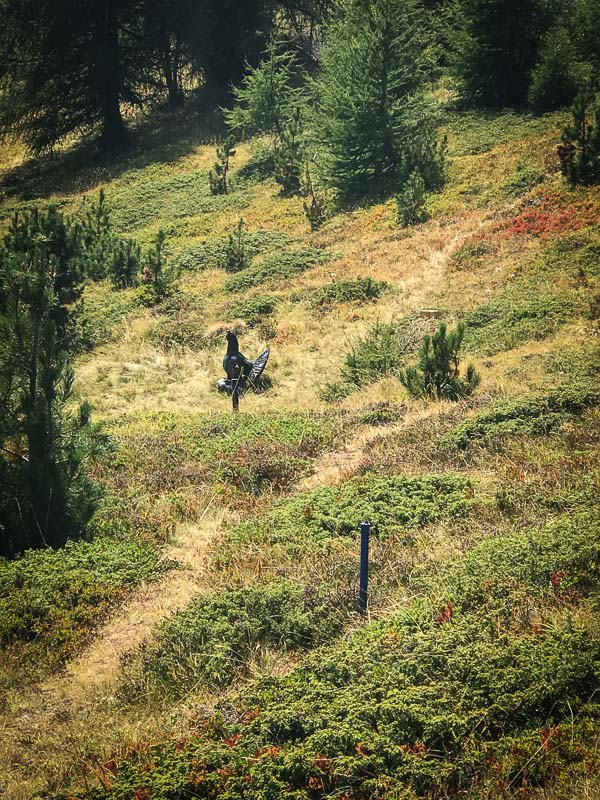 instarch 180828 3024 x 4032 58-bogenschiessen