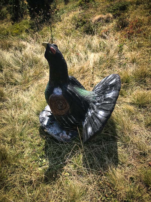 instarch 180828 3024 x 4032 59-bogenschiessen