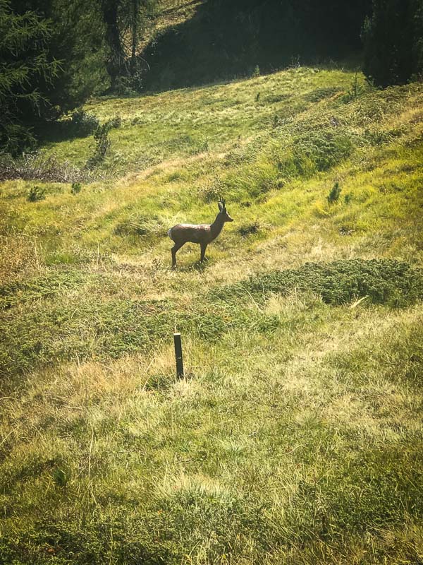 instarch 180828 3024 x 4032 62-bogenschiessen