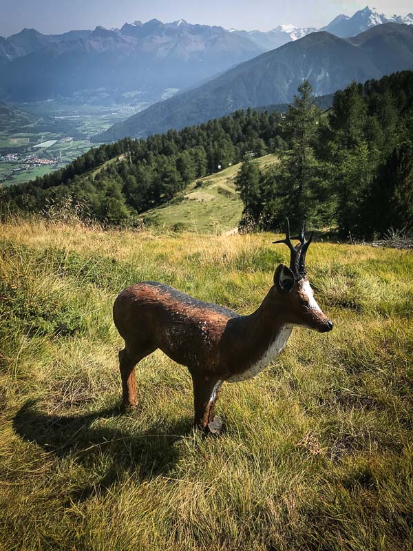 instarch 180828 3024 x 4032 63-bogenschiessen