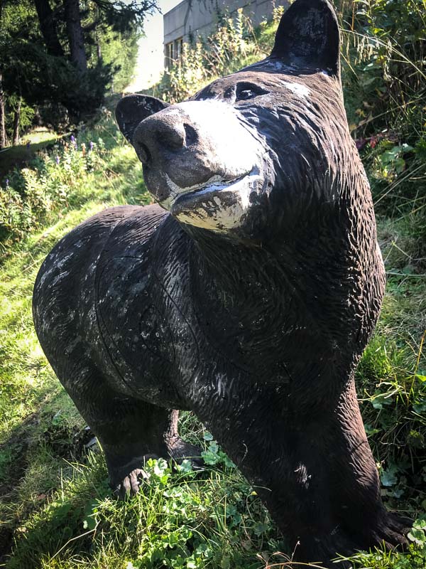 instarch 180828 3024 x 4032 65-bogenschiessen