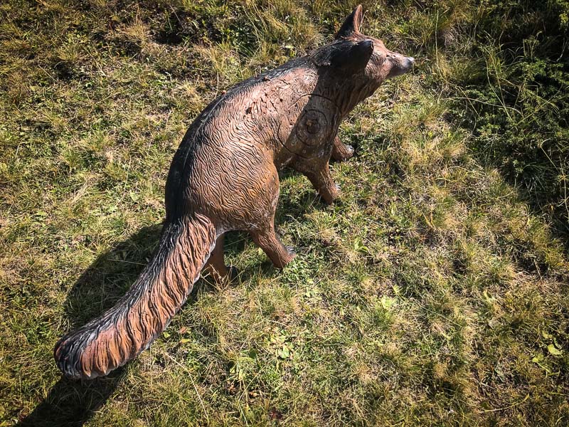 instarch 180828 4032 x 3024 11-bogenschiessen