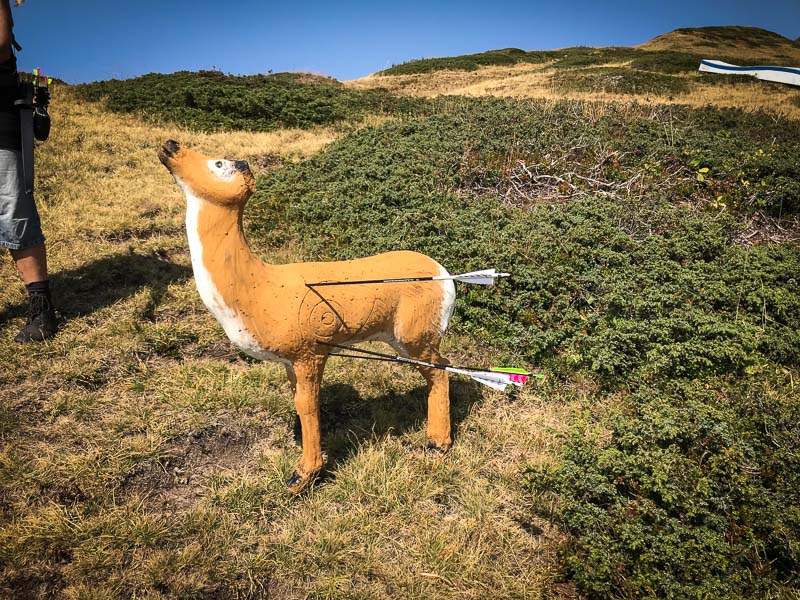 instarch 180828 4032 x 3024 14-bogenschiessen