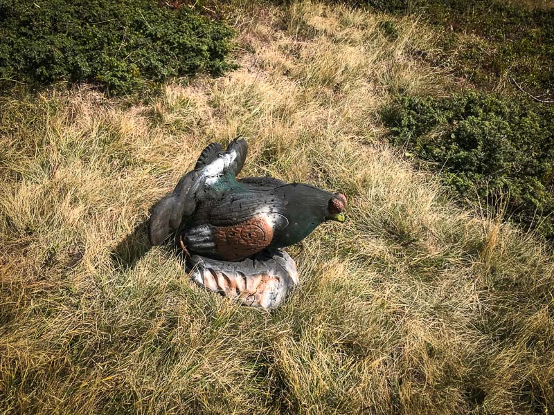 instarch 180828 4032 x 3024 16-bogenschiessen