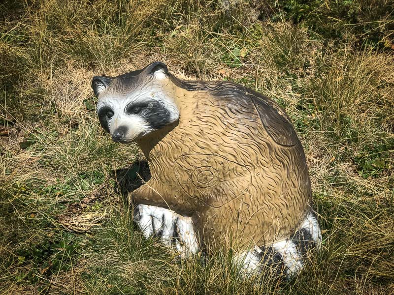 instarch 180828 4032 x 3024 18-bogenschiessen