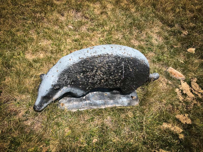 instarch 180828 4032 x 3024 19-bogenschiessen