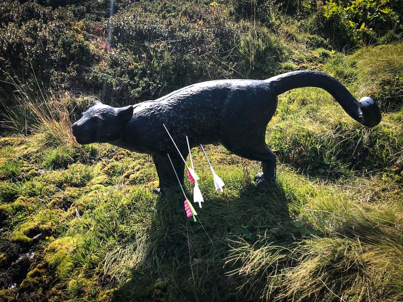 instarch 180828 4032 x 3024 26-bogenschiessen