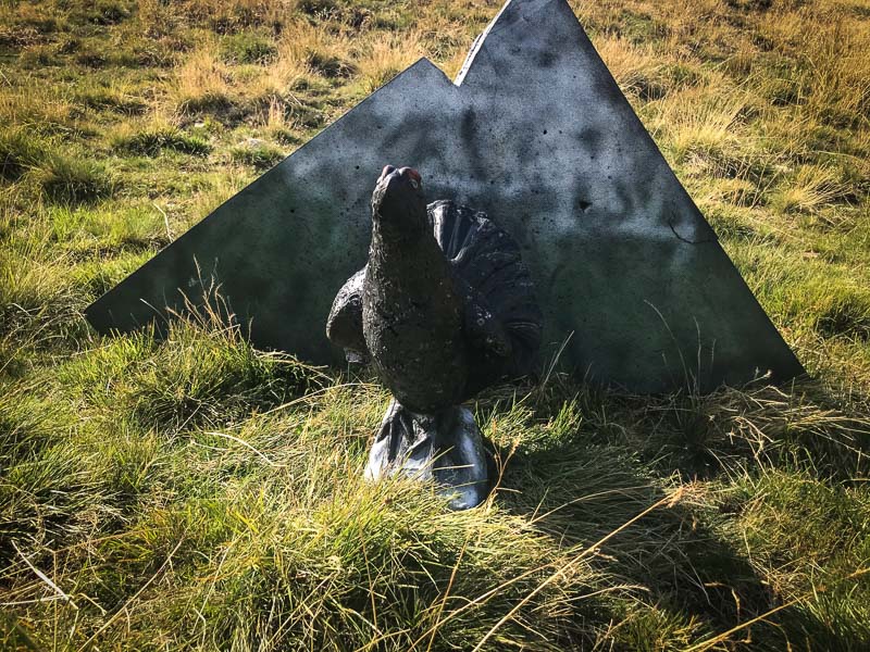 instarch 180828 4032 x 3024 29-bogenschiessen