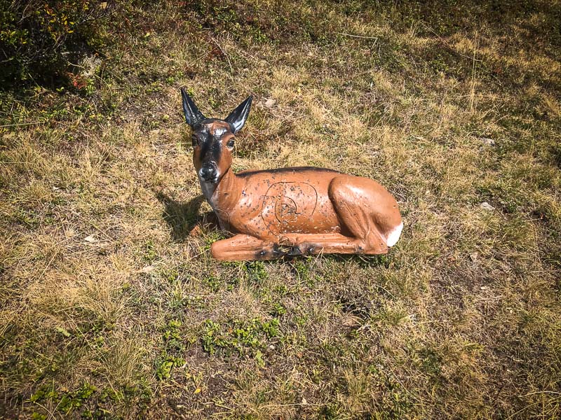 instarch 180828 4032 x 3024 7-bogenschiessen