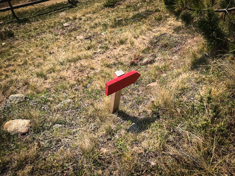 instarch 180828 4032 x 3024 8-bogenschiessen