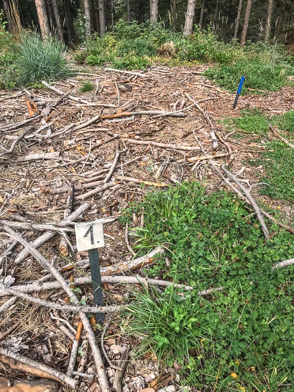 instarch 180830 3024 x 4032 19-bogenschiessen