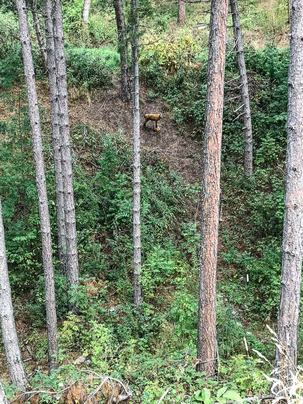 instarch 180830 3024 x 4032 20-bogenschiessen