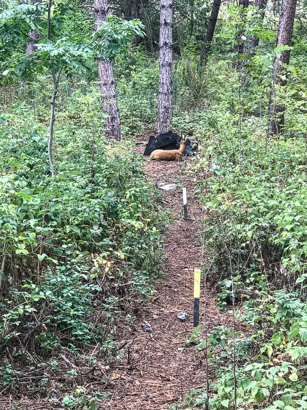 instarch 180830 3024 x 4032 23-bogenschiessen