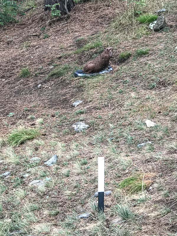 instarch 180830 3024 x 4032 24-bogenschiessen