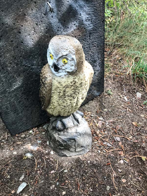 instarch 180830 3024 x 4032 27-bogenschiessen