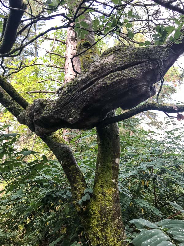 instarch 180830 3024 x 4032 3-bogenschiessen