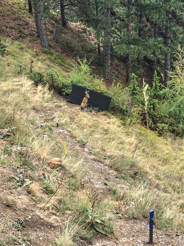 instarch 180830 3024 x 4032 31-bogenschiessen