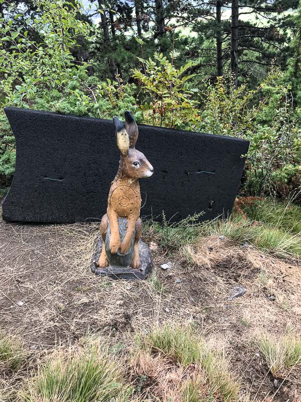 instarch 180830 3024 x 4032 32-bogenschiessen