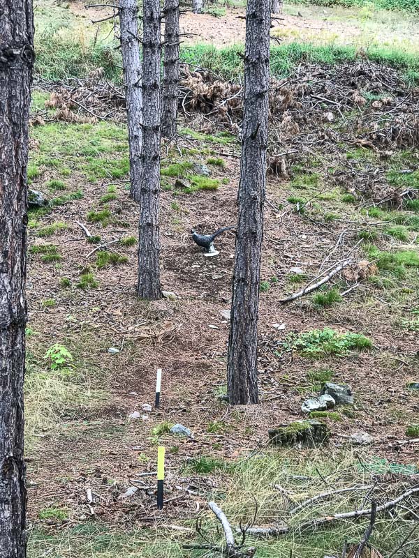 instarch 180830 3024 x 4032 34-bogenschiessen