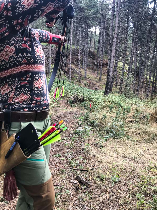 instarch 180830 3024 x 4032 35-bogenschiessen