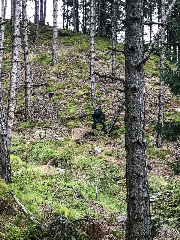 instarch 180830 3024 x 4032 36-bogenschiessen