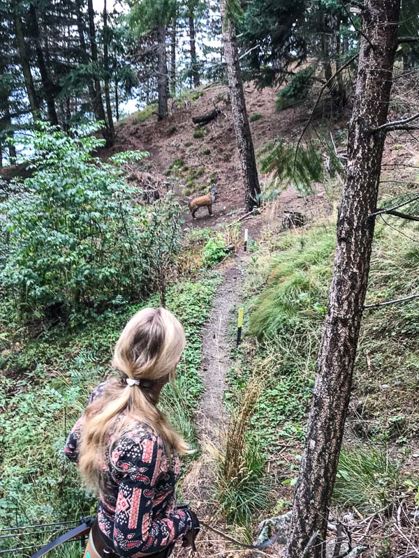 instarch 180830 3024 x 4032 39-bogenschiessen