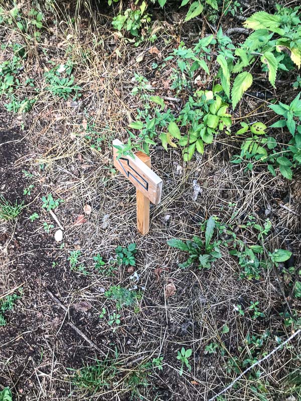 instarch 180830 3024 x 4032 4-bogenschiessen