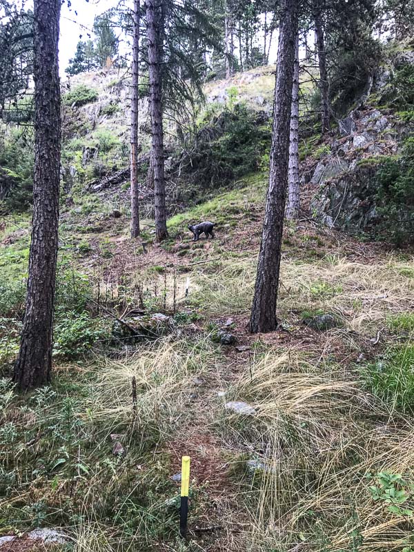 instarch 180830 3024 x 4032 44-bogenschiessen