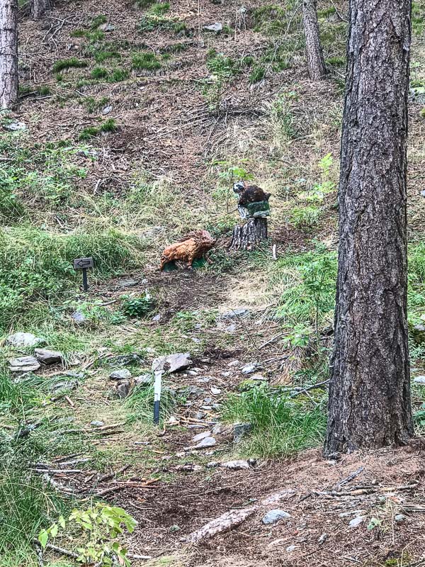 instarch 180830 3024 x 4032 47-bogenschiessen